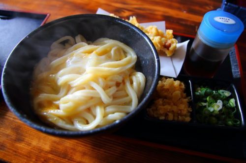 高知で一番かたい手打ちうどん店「さかえ」の麺はほとんどゴムだよ!