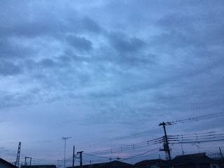玄米に匹敵する蕎麦