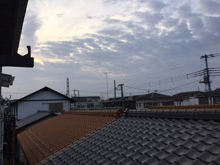 蕎麦と癌