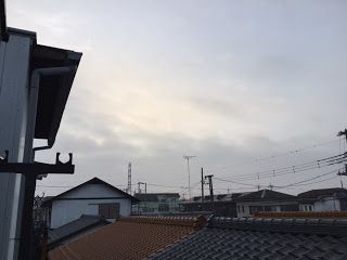 一日一蕎麦は昼が効果的♪