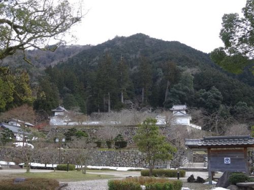 北京都から出石 蕎麦と酒を巡る冬の旅2017 その⑥近又(豊岡)出石皿そばとそば神社