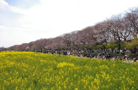 さらしなそば打ち大会