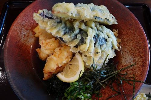 情熱うどん はるりん @ とり天なす天おろしぶっかけ