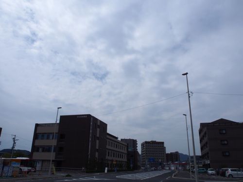 手打うどん す奈は 宝町店 - 天ころ -
