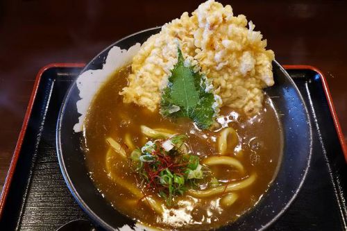手打ちうどん 福来たる @ 桜島鶏ささみ天カレーうどん
