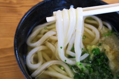 すこぶる別品エビスのうどん UDON FACTORY エビス @ 高松市香川町 今年5回目の讃岐うどんツアー 四軒目 170610