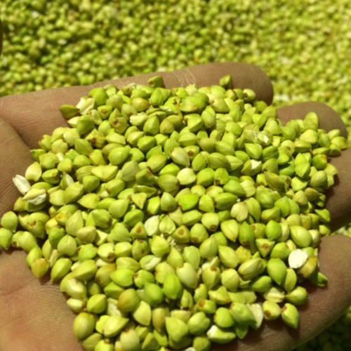 NHKテレビ番組あさイチでも放映された「蕎麦の実(抜き実)」のそば茶で健康維持&ダイエット。