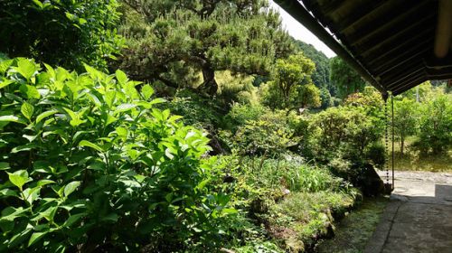 関西そばツアー② 一如庵(奈良) 渾身の蕎麦を味わう