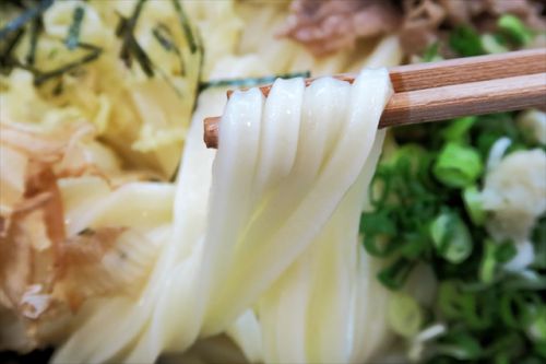 しなやかでノビのある美味しいうどん udon an (ウドン アン) @ 野崎 大阪好っきゃ麺 2017 夏 ALWAYS 麺LIFE 十六軒目 170721