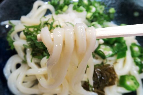 涼しげな夏メニューから「梅おろしスペシャルうどん」いただきました! 麺工房 六車 @ 東かがわ市 第16回ちょっと讃岐ほとんど阿波弾丸ツアー 三軒目 170805