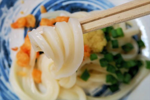 全メニュー同時喰いにチャレンジ !!! 日の出製麺所 @ 坂出 今年10回目の讃岐うどんツアー 六軒目 170920