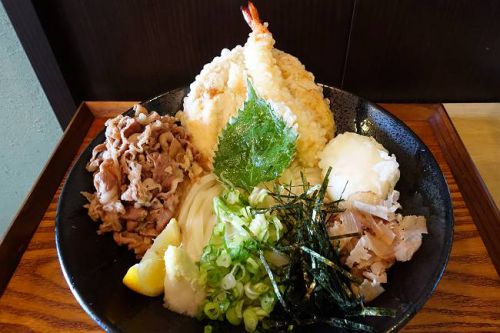 うどん 色彩 @ 色彩ぶっかけ