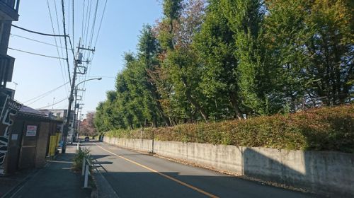 手打ちそばカフェるりはりや(拝島) 初訪問 瑠璃色の風が吹いている。芋煮つけ汁そばと鯉川。