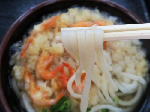 金運スポット銭形砂絵と小えびうどんと銘菓観音寺 手打うどん きたの @ 観音寺市 今年11回目の讃岐うどんツアー 五軒目 171025