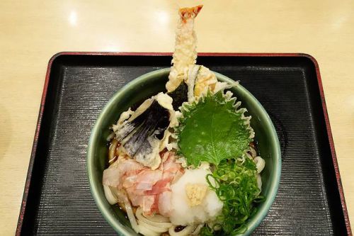 うどん ゆきの @ あげカレーうどん&天おろし定食