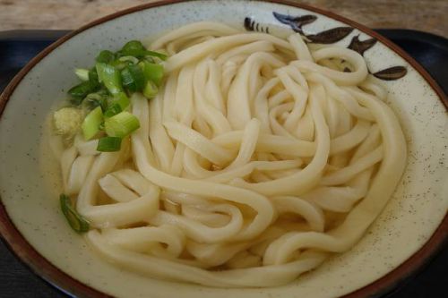 岸井うどん @ 善通寺市