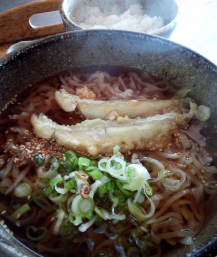 ししゃも天うどん 700円 おはやめに!