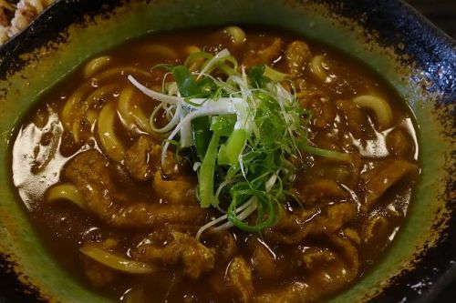 讃岐うどん 白庵 @ げそ天カレーうどん