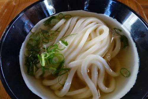 山越うどん @ かけうどん (冷)