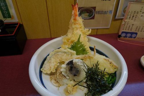 讃岐手打うどん かもめ @ 海老天ぶっかけ