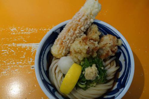 空飛ぶうどん やまぶき家 @ とり天ぶっかけで、2018年始動