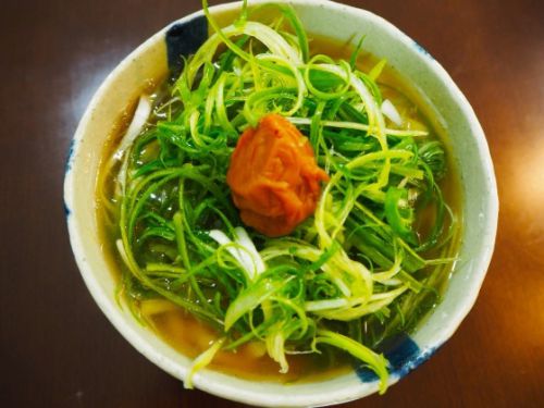 九条ねぎうどんと肉うどん