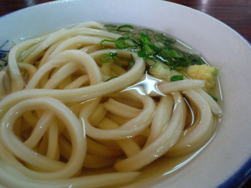 うどん巡り2016小雪 前場製麺所
