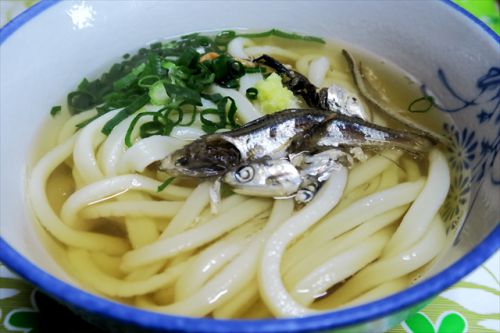 イリコ泳ぐお出汁のうどんが旨い! 宮川製麺所 @ 善通寺 今年2回目の讃岐うどんツアー 二軒目 180324