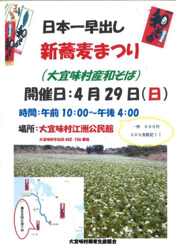 3月播きの蕎麦が花を咲かせましたー(((o(*゚▽゚*)o)))