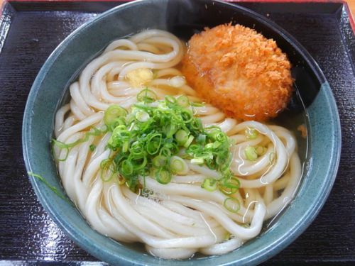 讃岐うどん食べまくり~玉吉本店 綾川町