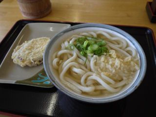 うどん巡礼春場所♪「手打ちうどん ますや」