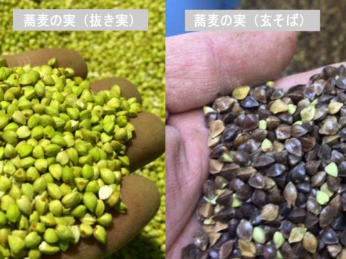 テレビ番組「あさイチ」や「得する人損する人」で放映された「蕎麦の実(抜き実)」の茹で方と保存方法。