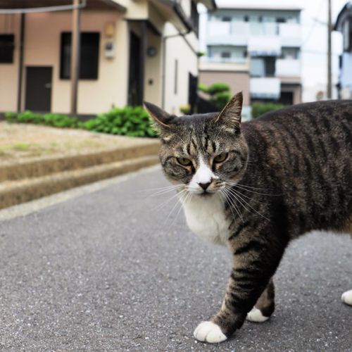 うどん処「楓」でモーニングしたよ