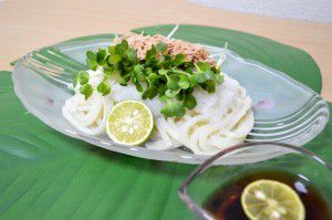 ツナとかいわれのさっぱりおろしうどん