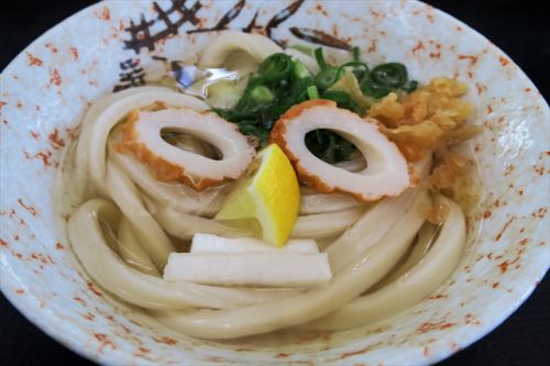 温室内で観葉植物に囲まれて食す旨いうどん 根ッ子うどん @ 多度津 今年7回目の讃岐うどんツアー 五軒目 180524