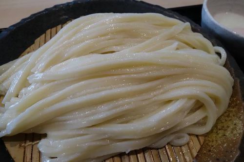 本格手打うどん 大河 @ 黒豚チャーシュー和風温玉つけ麺