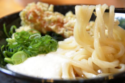 さぬきうどん清瀧(きよたき)高知/土佐市の「セルフうどん」屋さん!