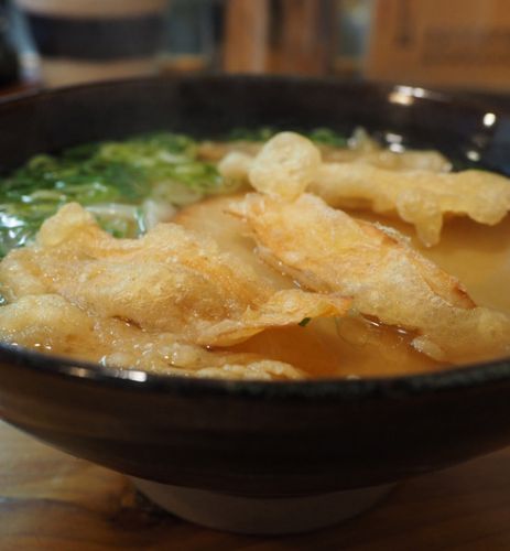 葉隠うどん@博多駅南(福岡市博多区)丸天うどん+ごぼう天