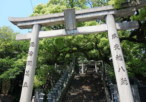 うぶしな(香川綾歌郡)今回の香川ママチャリ旅では最高に旨かったぶっかけうどん