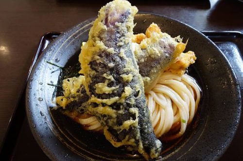 情熱うどん はるりん @ とり天となす天のおろしぶっかけ 他