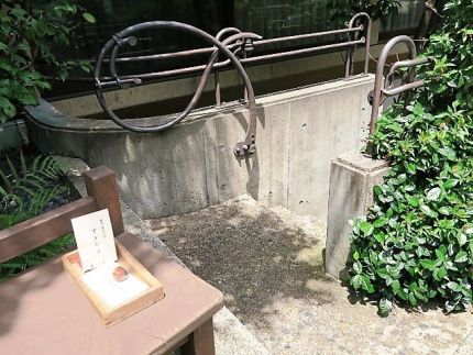 洗足 「すぎやま」 真夏の昼の「蕎麦遊膳」 トウモロコシの蕎麦豆腐