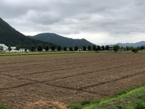 平成30年福井県産秋そばの栽培レポート「播種(種まき)後」
