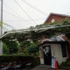そば切 雨耕庵(北海道札幌)住宅街普通の民家がお蕎麦屋さんで田舎と丸抜き2色蕎麦