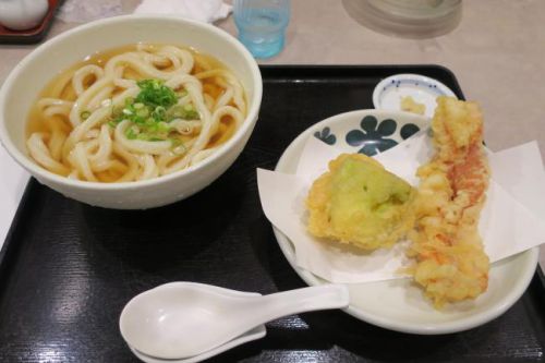 讃岐うどん 本格手打 てつ家@豊橋