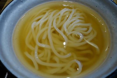 うどん処 松 @ さくらえびかきあげうどん