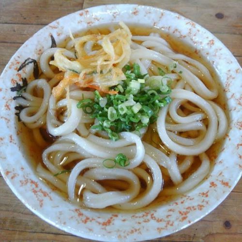 帰省中の讃岐うどん~やつぼうどん 高松市