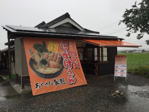 香川丸亀讃岐うどん『あやうた製麺』セルフ版もり家のカレーうどん!