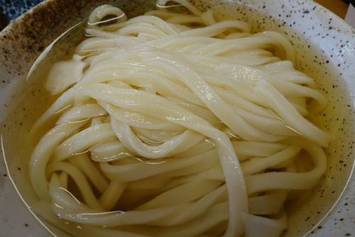 本格手打うどん ゆうすけ @ 気まぐれセット (冷かけ)