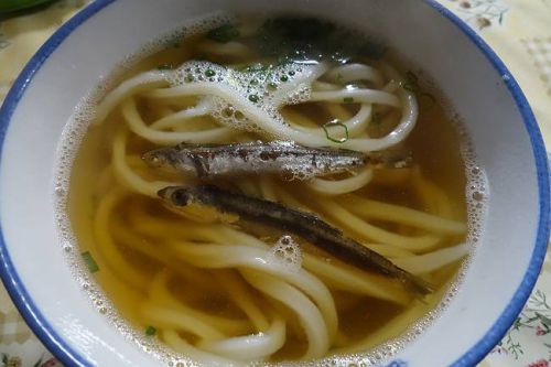 宮川製麺所 @ リベンジのかけうどん 善通寺市