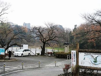 青梅 「亜陶」(アド) 趣味を越えたギャラリーの旨し蕎麦